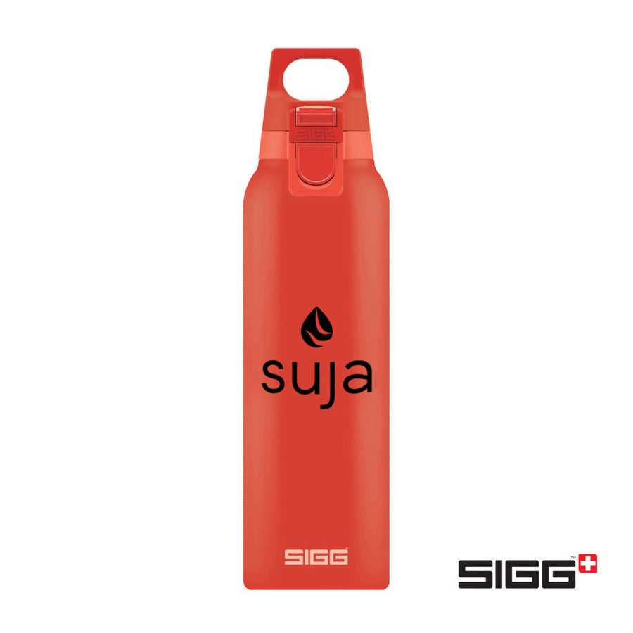SIGG™ Hot & Cold One Bottle - 17oz