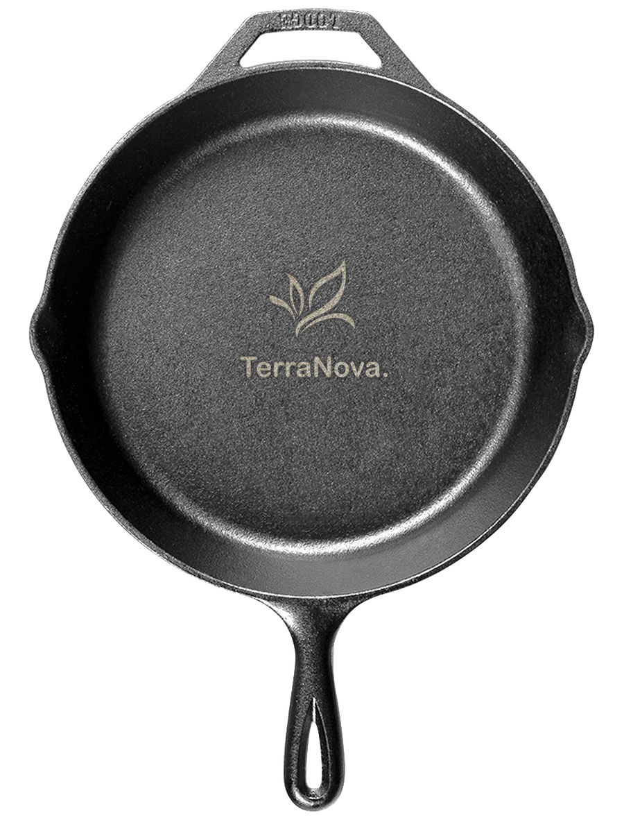 Lodge® 10.25" Cast Iron Skillet