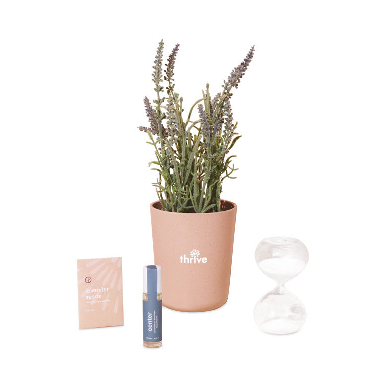 Modern Sprout® Seek Peace Take Care Kit - Lavender